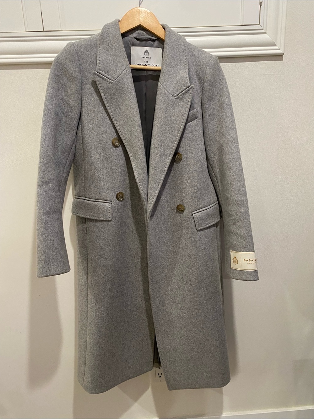 Babaton Double-Breasted Wool Coat in Light Gray